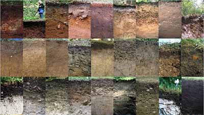 土壤環(huán)境檢測(cè).jpg 土壤環(huán)境檢測(cè).jpg